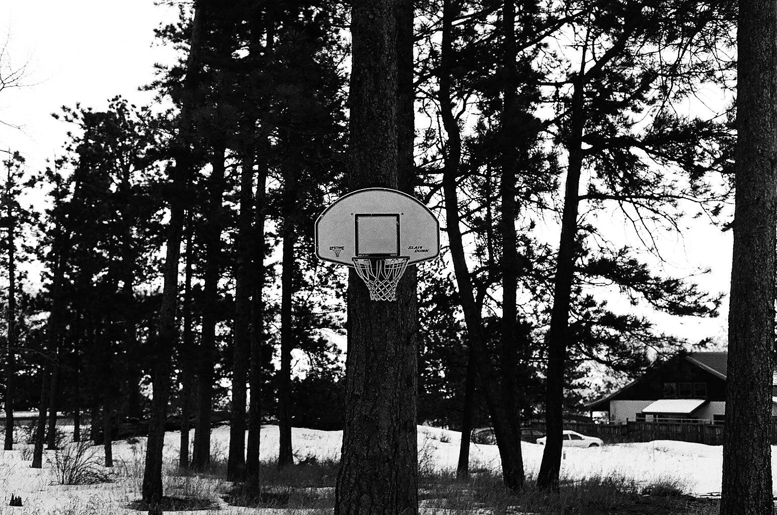 Colorado basketball hoop