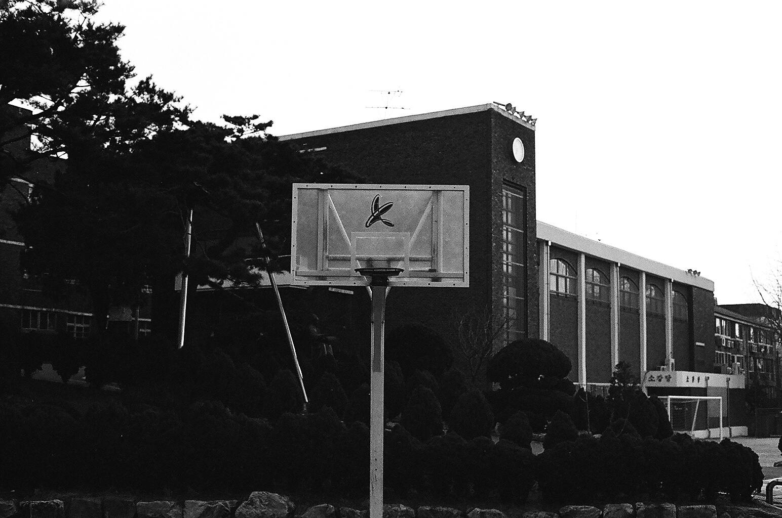 South Korean basketball hoop
